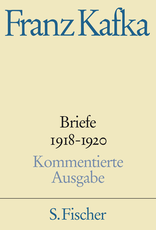 Buchcover von Briefe 1918-1920: Band 4 von Franz Kafka