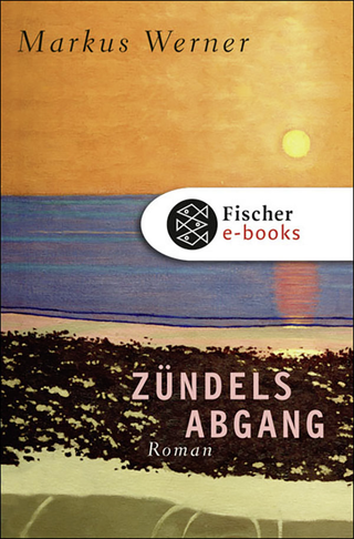 Buchcover von Zündels Abgang: Roman
