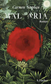 Buchcover von Mal Aria: Roman von Carmen Stephan