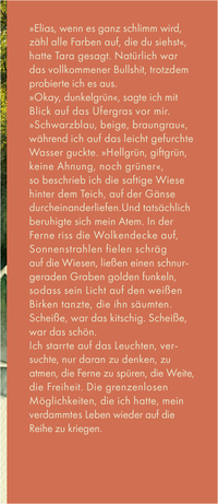 Zusatzmaterial KL 978 3 7587 0043 9 vorne von Spiegelland von Rebekka Frank
