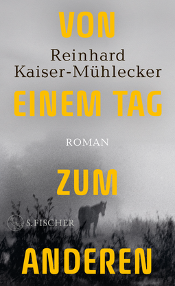 Buchcover von Von einem Tag zum anderen: Roman von Reinhard Kaiser-Mühlecker