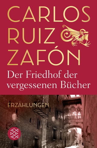 Buchcover von Der Friedhof der vergessenen Bücher: Erzählungen