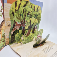 Zusatzmaterial PA 978 3 7373 7415 6 innen 002 von SCIENCE POPS: Jane Goodall von Elizabeth Cranford, Magda Brol