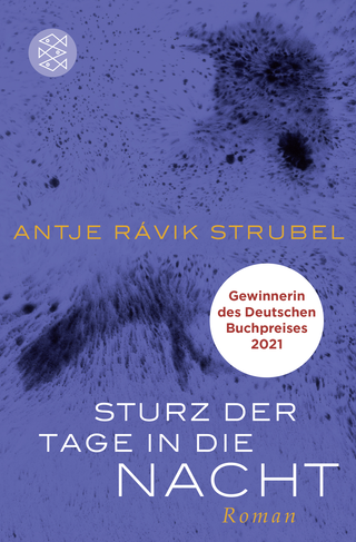 Buchcover von Sturz der Tage in die Nacht: Roman