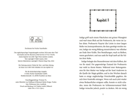 Zusatzmaterial PA 978 3 7373 7228 2 innen 001 von Indigo Grey – Das Schloss der verborgenen Wunder von Ruth Lauren, Sharon King-Chai