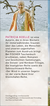 Zusatzmaterial KL 978 3 596 71156 7 hinten von Der Wind in unseren Segeln von Patricia Koelle