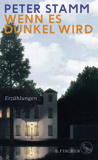 Buchcover von Wenn es dunkel wird: Erzählungen