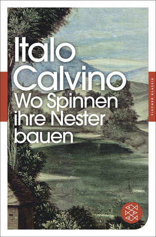 Buchcover von Wo Spinnen ihre Nester bauen: Roman