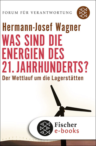 Buchcover von Was sind die Energien des 21. Jahrhunderts?: Der Wettlauf um die Lagerstätten