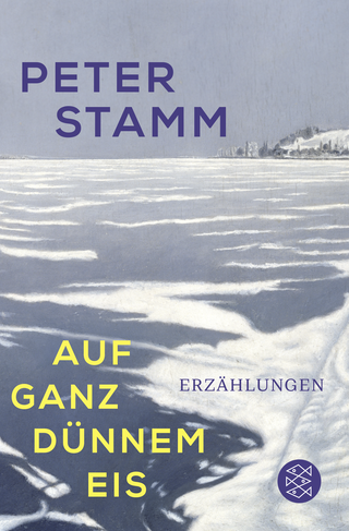 Buchcover von Auf ganz dünnem Eis: Erzählungen
