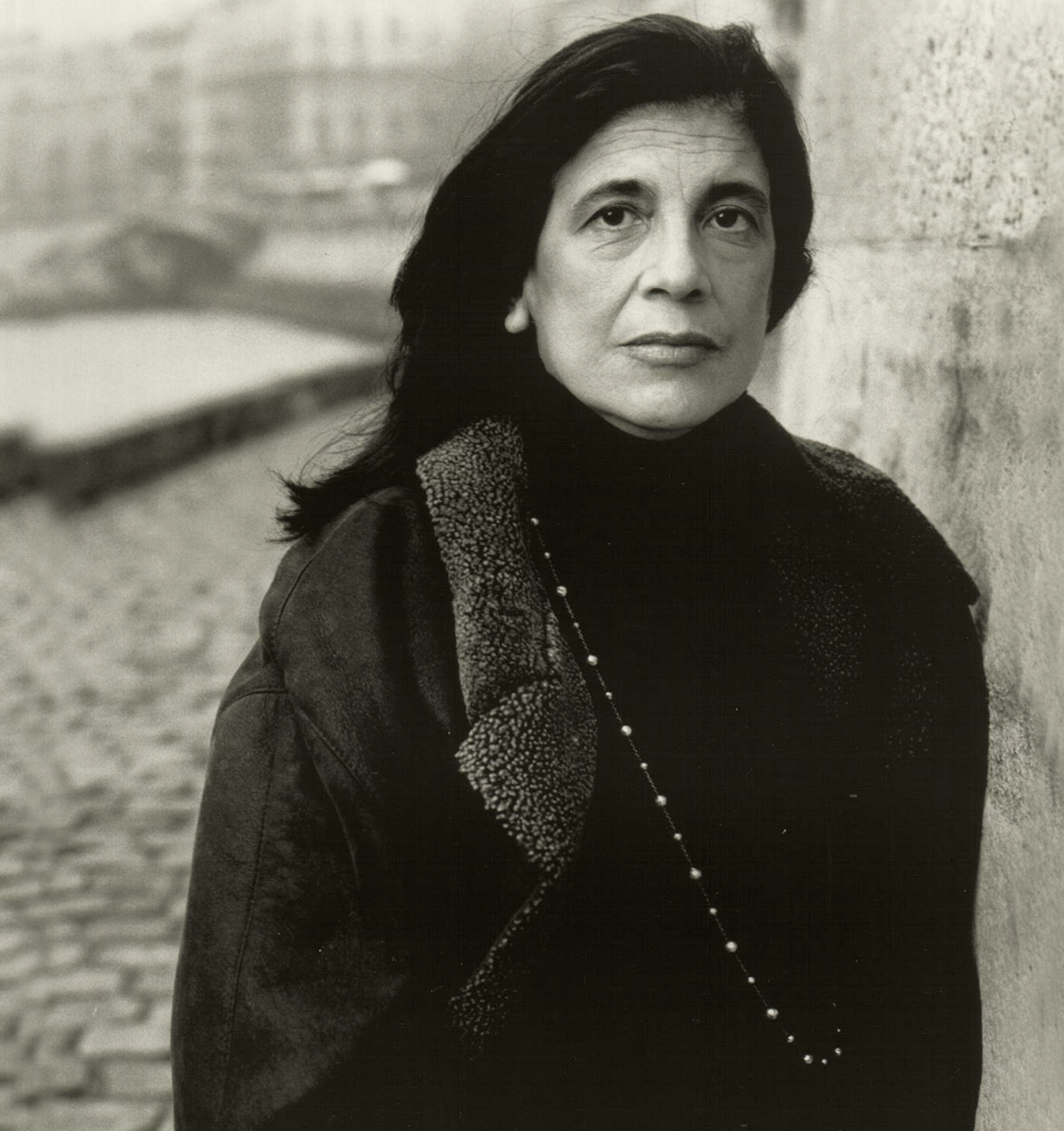 Portrait von Susan Sontag