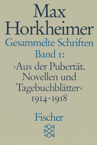 Buchcover von Gesammelte Schriften in 19 Bänden: Band 1: » Aus der Pubertät. Novellen und Tagebuchblätter « 1914-1918