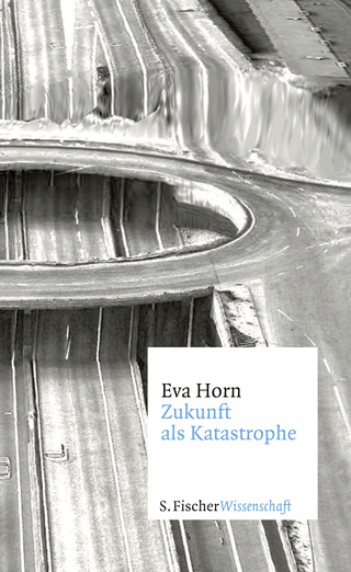 Buchcover von Zukunft als Katastrophe