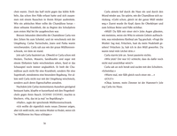 Zusatzmaterial PA 978 3 7571 0121 3 innen 001 von CARLA CHAMELEON (Vol. 4) von Franziska Gehm, Julia Christians