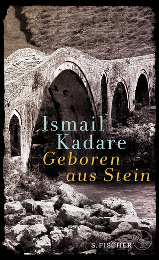 Buchcover von Geboren aus Stein: Ein Roman und autobiographische Prosa