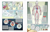 Zusatzmaterial PA 978 3 7373 5990 0 innen 003 von Doc Caro – Operation Heart (Vol. 1): Ein Buch über das Herz, den Kreislauf und Erste Hilfe  von Dr. med. Carola Holzner, David Füleki