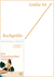 Zusatzmaterial PA 978 3 596 52373 3 abmessung von Ein französischer Sommer: Roman von Francesca Reece