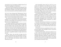 Zusatzmaterial PA 978 3 7373 7258 9 innen 003 von Birds of Paris. The Magic Pendulum von Kathrin Tordasi, Heiko Hentschel
