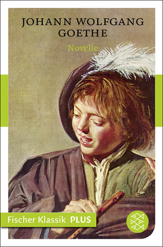 Buchcover von Novelle