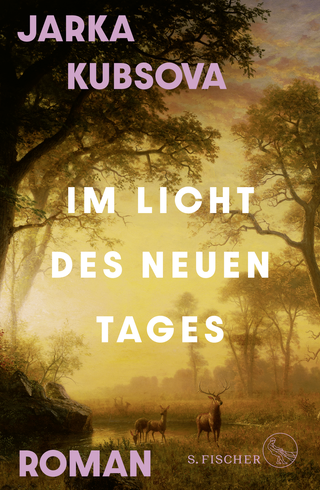 Buchcover von Im Licht des neuen Tages: Roman