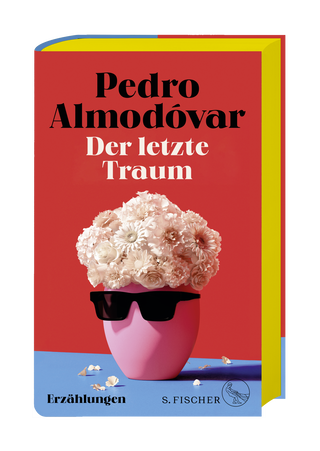 Buchcover von Der letzte Traum: Zwölf Erzählungen