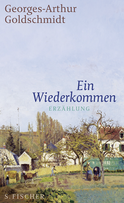 Buchcover von Ein Wiederkommen: Erzählung von Georges-Arthur Goldschmidt