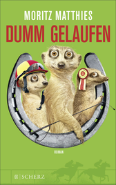 Buchcover von Dumm gelaufen: Roman von Moritz Matthies