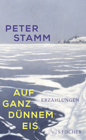 Buchcover von Auf ganz dünnem Eis: Erzählungen von Peter Stamm