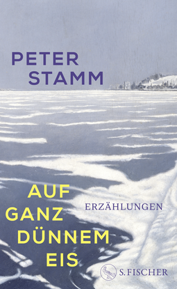 Buchcover von Auf ganz dünnem Eis: Erzählungen von Peter Stamm