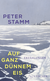 Buchcover von Auf ganz dünnem Eis: Erzählungen von Peter Stamm