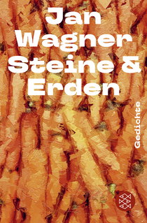 Buchcover von Steine & Erden: Gedichte von Jan Wagner