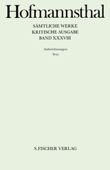 Buchcover von Aufzeichnungen 1: Text Aufzeichnungen 2: Apparat von Hugo von Hofmannsthal