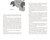 Zusatzmaterial PA 978 3 7373 4390 9 innen 001 von Season for Scandal von Laura Wood