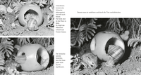 Zusatzmaterial PA 978 3 7373 6400 3 innen 002 von Das Apfelmäuschen von Mathilde Reich, Ulrich Thomas