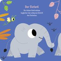 Zusatzmaterial PA 978 3 7373 7307 4 innen 001 von Hörst du "Der Karneval der Tiere"?: Soundbuch von Marion Billet