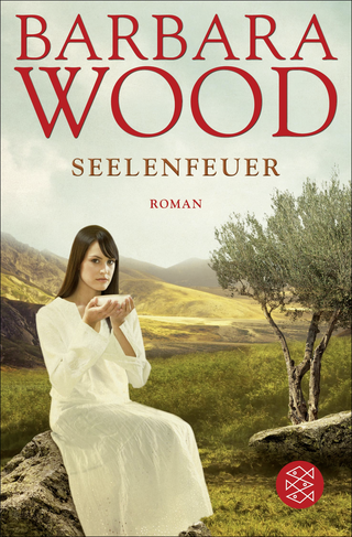 Buchcover von Seelenfeuer: Roman