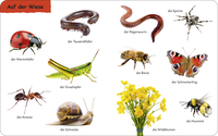 Zusatzmaterial PA 978 3 7373 3671 0 innen 002 von Duden 12+: Kennst du das? Die Tiere
