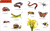 Zusatzmaterial PA 978 3 7373 3671 0 innen 002 von Duden 12+: Kennst du das? Die Tiere
