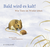 Buchcover von Bald wird es kalt!: Wie Tiere im Winter leben von Monika Lange, Steffen Walentowitz