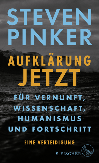Buchcover von Aufklärung jetzt: Für Vernunft, Wissenschaft, Humanismus und Fortschritt. Eine Verteidigung