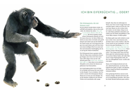 Zusatzmaterial PA 978 3 7571 0006 3 innen 001 von Die Gefühle der Tiere: Von eifersüchtigen Affen, ängstlichen Hunden und pfiffigen Ratten von Lotte Stegeman, Mark Janssen