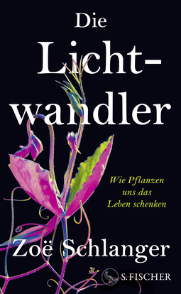 Buchcover von Die Lichtwandler: Wie Pflanzen uns das Leben schenken von Zoë Schlanger