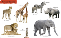 Zusatzmaterial PA 978 3 7373 3671 0 innen 003 von Duden 12+: Kennst du das? Die Tiere