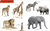 Zusatzmaterial PA 978 3 7373 3671 0 innen 003 von Duden 12+: Kennst du das? Die Tiere