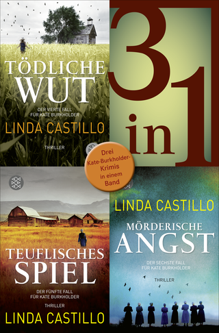 Buchcover von Tödliche Wut / Teuflisches Spiel / Mörderische Angst - Drei Kate-Burkholder-Krimis in einem Band