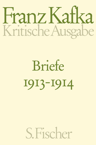 Buchcover von Briefe 1913-1914: Band 2