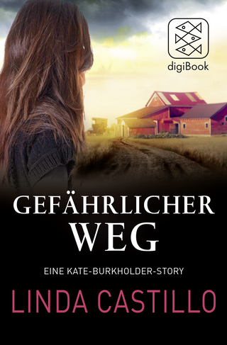Buchcover von Gefährlicher Weg: Eine Kate-Burkholder-Story