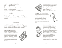Zusatzmaterial PA 978 3 7373 4359 6 innen 002 von Smaragour – Die Dracheninsel von Anja Habschick