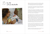 Zusatzmaterial PA 978 3 8105 3072 1 innen 002 von WOW MOM: Der Mama-Mutmacher fürs erste Jahr mit Kind von Lisa Harmann, Katharina Nachtsheim