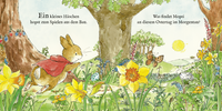 Zusatzmaterial PA 978 3 7373 7221 3 innen 001 von Die Welt von Peter Hase -  Das bunte Osterfest: Pop-Up Buch von Beatrix Potter
